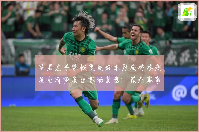 浓眉左手掌恢复良好本月底将接受复查有望复出赛场复盘：最新赛事动态与深度分析