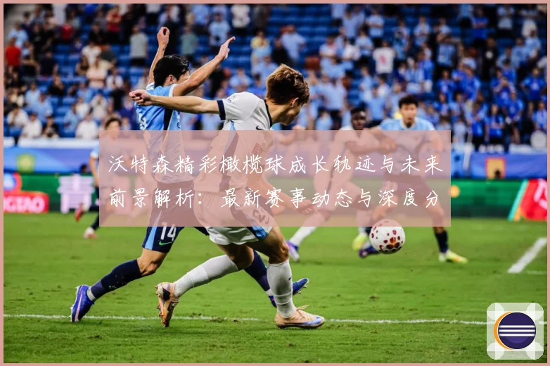 沃特森精彩橄榄球成长轨迹与未来前景解析：最新赛事动态与深度分析
